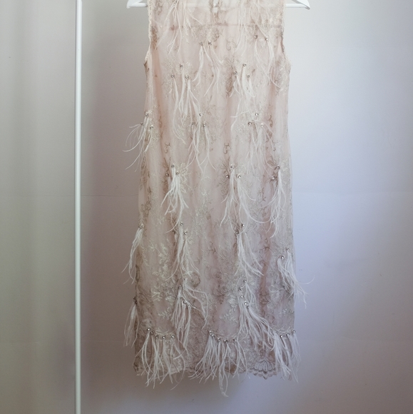 Beige Mesh Dress with Feathers and Gems - Picture 4 of 4